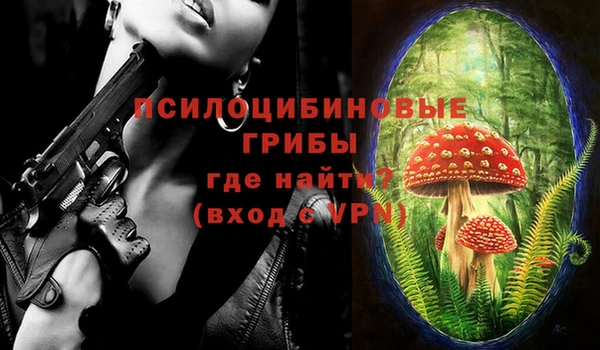 крисы Кукмор